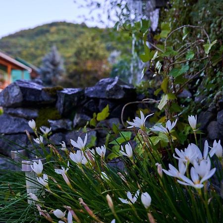 Pension Charisma Băile Herculane エクステリア 写真
