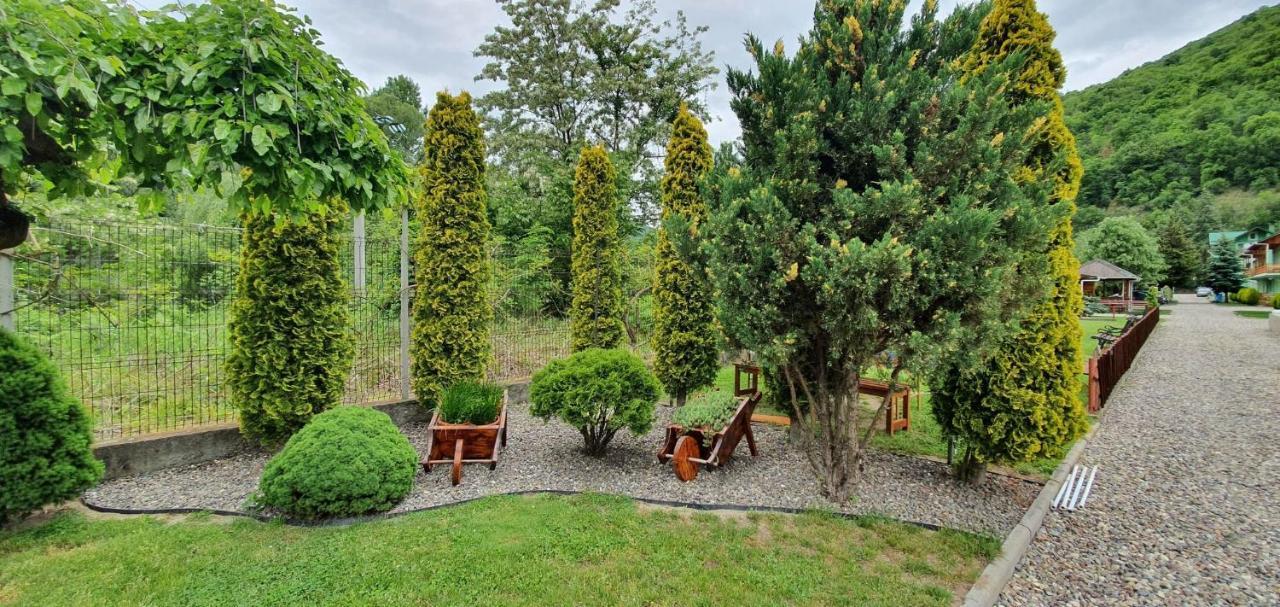 Pension Charisma Băile Herculane エクステリア 写真